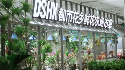 【都市花鄉(xiāng)】植耕長(zhǎng)沙22年，讓人們的生活更加美好